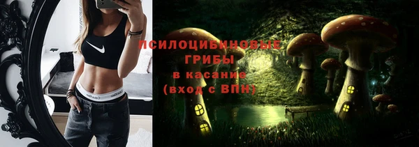 спиды Дмитровск