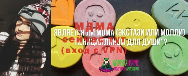 крисы Дмитров