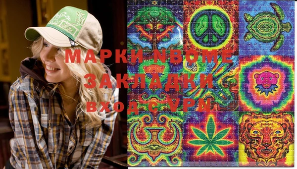 крисы Дмитров