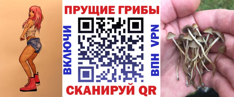 Псилоцибиновые грибы Cubensis  Купить  Тотьма 